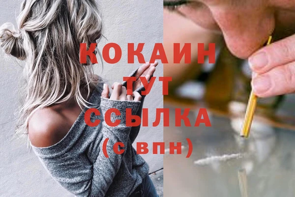 молекула духа Ступино
