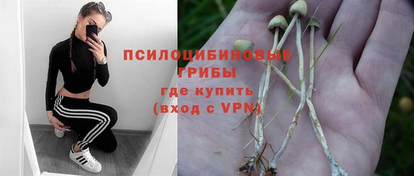 прущая мука Строитель