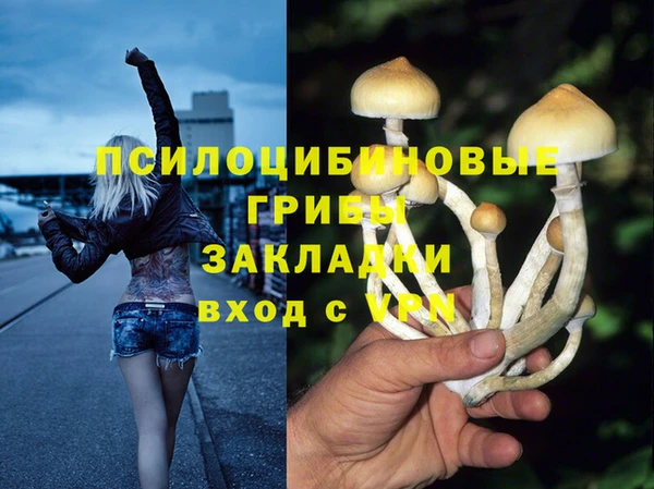 прущая мука Строитель