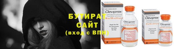 индика Ивангород