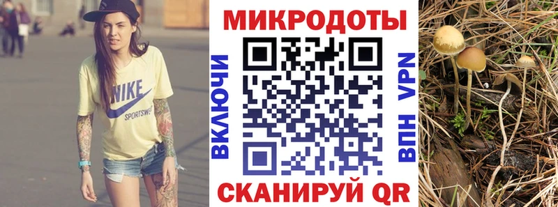 Купить  Исилькуль  Галлюциногенные грибы Psilocybine cubensis 