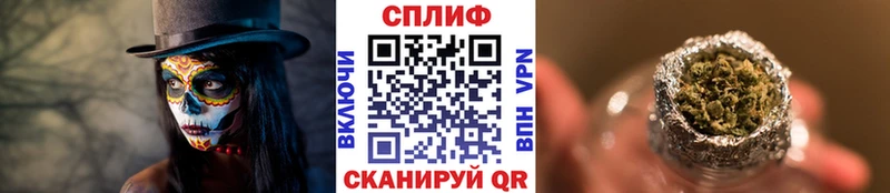 Купить где  Исилькуль  МАРИХУАНА ГИДРОПОН 